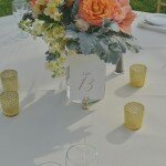 006_SarahEricReception